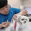 제주동물병원 이미지