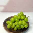 조은팜영농조합법인 네이버블로그