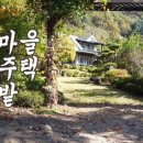 도수암계곡 이미지