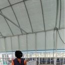법인통큰열매