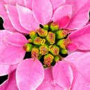 하늘다리펜션 이미지