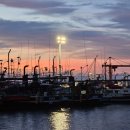 선창마을 | 태안 청포대해수욕장 마검포항 갑오징어물회로 소문난 맛집 선창횟집