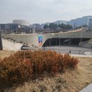서울마곡유치원 | 서울 반려동물 박람회 2025 방문 후기 | 코엑스 마곡에서 열린 펫 페어 생생 후기!
