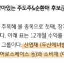 KCP_페이업카카오페이