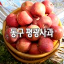 팔공산 사과로 착즙한 100%생사과즙 판매합니다. 이미지