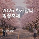 토지보건지소 | [4월 초 절정] 2026 화개장터 벚꽃축제 실시간 개화 현황 및 읍내 시간차 공략