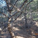 대성사앞 이미지