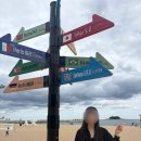 새마을튀김집 | 블로그 챌린지 5주차 (속초여행 2-3일차)