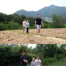 삼시세끼 이미지