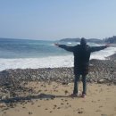 속초동물의료센터 이미지