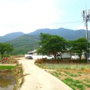 달창저수지 이미지