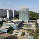 포항시장 선거 본격 레이스… 곳곳서 진격 북소리 ‘둥둥’ 이미지