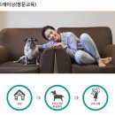 스터디독스쿨 이미지