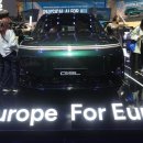 유럽시장에서 인기있는 중국산 전기차 (Chinese and European EV-makers compete for Europe’s el 이미지