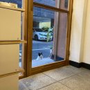 라쿵푸마라탕영천점 | 제목은 바쁜 나날들... 그리고 집순이를 곁들인