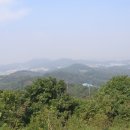 오성스포렉스
