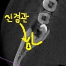 호평나무치과의원 이미지