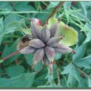 수일여자중학교 이미지