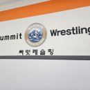 써밋레슬링 이미지