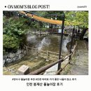 인천연수구 | 인천 연수구 봉재산 물놀이장 후기｜4살 아이와 즐긴 인공계곡 물놀이터