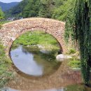 창녕 영산 만년교 이미지