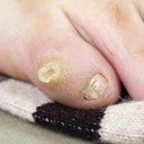 성광약품 이미지