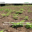 춘천시산림조합 이미지