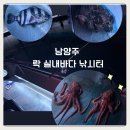 남양주 실내 바다낚시터 | 남양주 실내 낚시터 추천 ㅣ [락 실내 바다 낚시터]에서 문어&amp;소라망 잡기 체험까지! ㅣ 아이랑 가기...