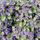 하기동경로당 이미지