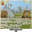 오동동202 | 오동동 맛집 토성마을 후기 좋았던 곳 위치 가격 리뷰 알아보자