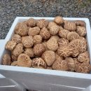 장용농장 이미지