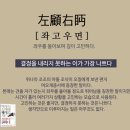 오늘의 고사성어 - 좌고우면 [左顧右眄] 이미지