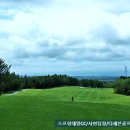 스프링데일CC 네이버블로그