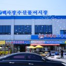 백사장수산물어시장 자연산오대감 | 안면도 맛집 내돈내산 백사장수산물어시장 오대감 삼합