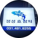 정성효참치