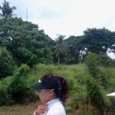 Y골프아카데미 이미지