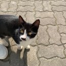 '병점 탁구 클럽' 이용 후기 (+엽떡 추천 사이드 메뉴)