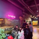 대구 학령기 사회성 그룹 수업 - 꿈트는언어사회성센터