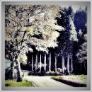 오늘 대패 이미지