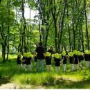 (주)도시와 숲