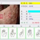 중도매인37호 티스토리