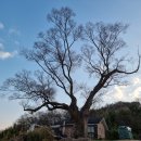 서낭경로당 이미지