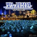 한중우호의숲 | 경주야경명소 꽃 조명이 아름다운 산책로 빛누리정원