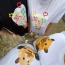 군포돌닭 | 안양유원지 안양예술공원 계곡 물놀이 평일 후기.