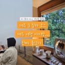안개숲 | 제주 3박4일 여행 마지막 후기｜애월 브런치·새별오름 안개·흑돼지까지 총정리