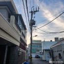 리틀트리미디어 | 9.20 주간일기 ) 스벅 가을md, 동명동 맷도리, 리틀트리 방향제, 구독 300명돌파, 냉장고 성에 제거하기...