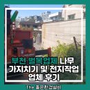 토분하나나무한그루 | 부천 벌목업체 나무 가지치기 및 전지작업 업체 후기