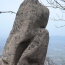 영암실내체육관 실내체육관 이미지