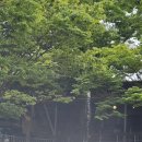 성림가든 이미지