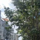 화랑대약국 이미지